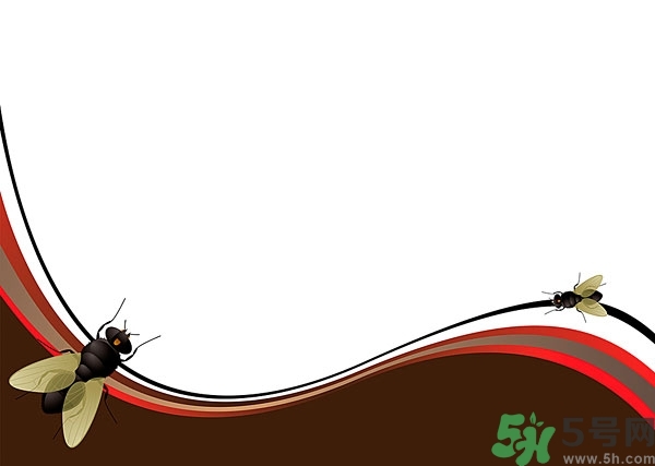 小飛蟲怎么消滅？小飛蟲怎么生出來的？