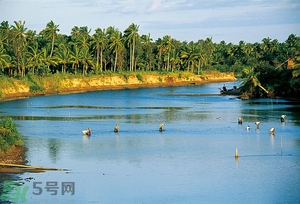 游泳曬傷了怎么辦？游泳曬傷如何處理？