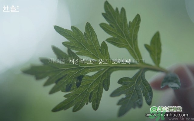 韓律艾草補水鎮(zhèn)靜噴霧怎么樣？好用嗎？