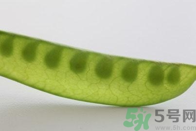 煮豌豆怎么做好吃？煮豌豆的做法