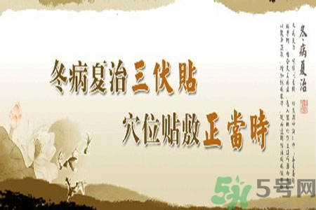 貼三伏貼癢怎么回事？貼三伏貼過(guò)敏怎么辦？