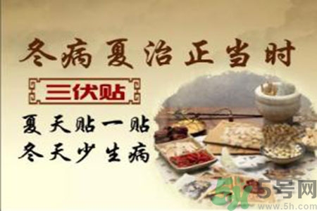 胃病可以貼三伏貼嗎？胃病貼三伏貼貼哪里？