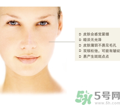 干性皮膚用什么洗面奶？干性皮膚該怎么保養(yǎng)？