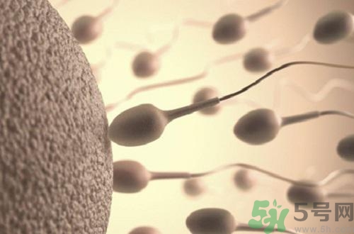 高溫對(duì)精子有影響嗎？高溫對(duì)精子有什么影響？