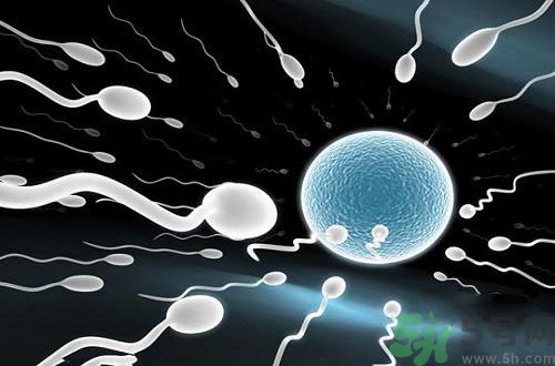 高溫對(duì)精子有影響嗎？高溫對(duì)精子有什么影響？