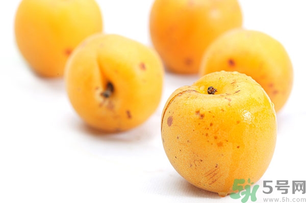 杏子孕婦可以吃嗎？懷孕初期可以吃杏子嗎？