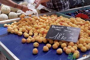 杏子孕婦可以吃嗎？懷孕初期可以吃杏子嗎？