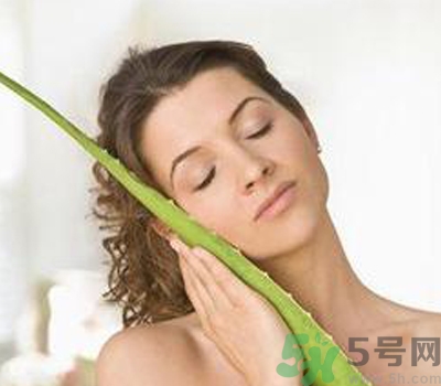 蘆薈膠會(huì)堵塞毛孔嗎？蘆薈膠應(yīng)該怎么用？