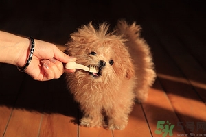 9歲男孩磨牙怎么回事？青少年磨牙是什么原因？