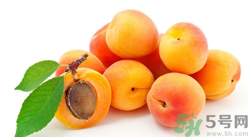 杏子可以泡水喝嗎?杏子泡水的功效預作用