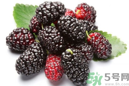 桑葚怎么洗？桑葚怎么保存？