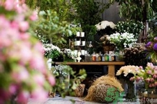 野獸派是什么牌子？野獸派怎么樣？