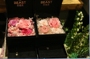 野獸派是什么牌子？野獸派怎么樣？