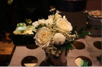 野獸派是什么牌子？野獸派怎么樣？