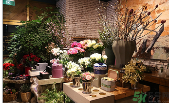 野獸派是什么牌子？野獸派怎么樣？