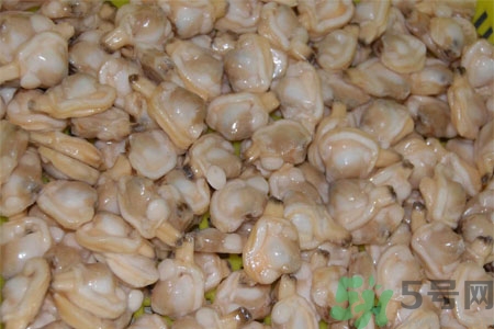 花蛤的營養(yǎng)價值有哪些？生取蛤肉的方法是什么？