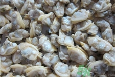 花蛤的營養(yǎng)價值有哪些？生取蛤肉的方法是什么？