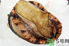 鮑魚(yú)如何挑選？鮑魚(yú)如何保存？