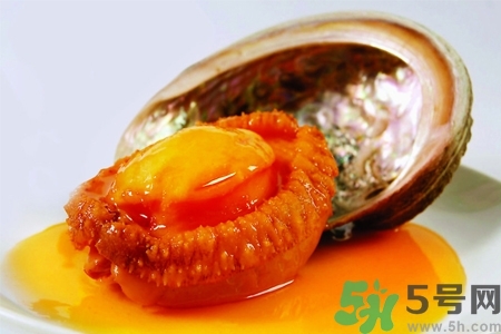 鮑魚如何挑選？鮑魚如何保存？