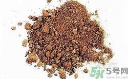 三伏貼的配方是什么？三伏貼的配方有哪些？