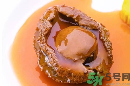 鮑魚(yú)如何挑選？鮑魚(yú)如何保存？