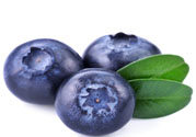 怎么挑選藍莓？藍莓怎么保存？