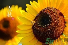 立秋后天氣還熱嗎？立秋后還要熱多久？