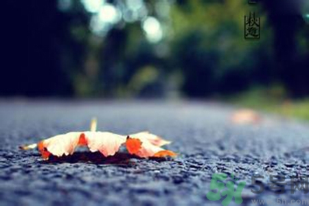 立秋吃什么水果好？立秋吃什么水果？