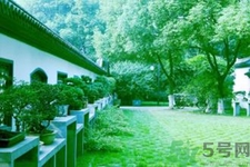 立秋吃什么水果好？立秋吃什么水果？