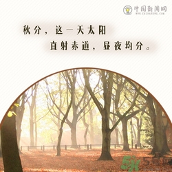 立秋是秋分嗎？立秋和秋分的區(qū)別？