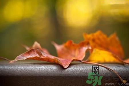 立秋是秋分嗎？立秋和秋分的區(qū)別？