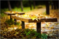 立秋出生的孩子怎么取名？立秋出生的孩子的命運？