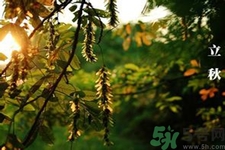 立秋出生的孩子怎么取名？立秋出生的孩子的命運？