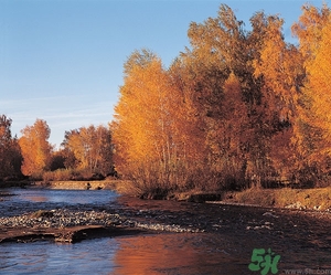 貼秋膘是什么時候？立秋貼秋膘的方法及五大禁忌人群