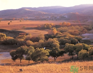 貼秋膘是什么時候？立秋貼秋膘的方法及五大禁忌人群
