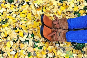 立秋貼秋膘吃什么？貼秋膘吃什么？