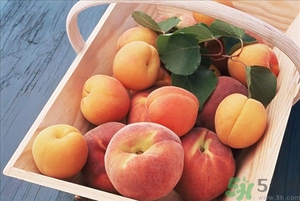 桃子和西瓜一起吃會中毒嗎？桃子和西瓜不能一起吃嗎？