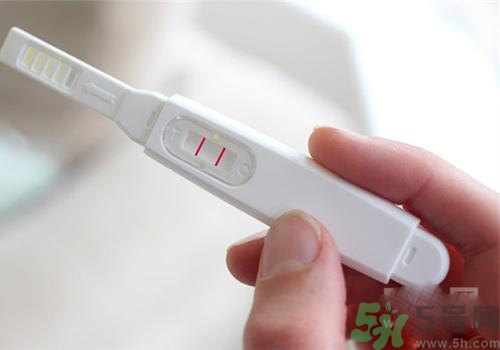 驗孕棒是什么原理？驗孕棒是不是一定要用晨尿？