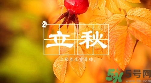 秋老虎是什么意思?秋老虎從什么時(shí)候開始 秋老虎是什么意思?秋老虎從什么時(shí)候開始