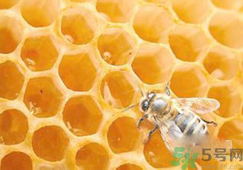 蜂膠有激素嗎？蜂膠吃多了會(huì)怎樣？