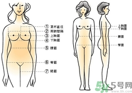 70b胸圍是多少?70b是32還是34? 70b胸圍是多少?70b是32還是34?