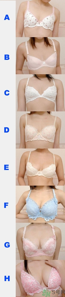 70b胸圍是多少?70b是32還是34? 70b胸圍是多少?70b是32還是34?