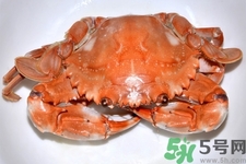 新鮮螃蟹該如何保存？熟螃蟹怎么存放？