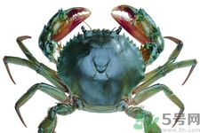 螃蟹死了還能吃嗎？螃蟹怎么清洗？