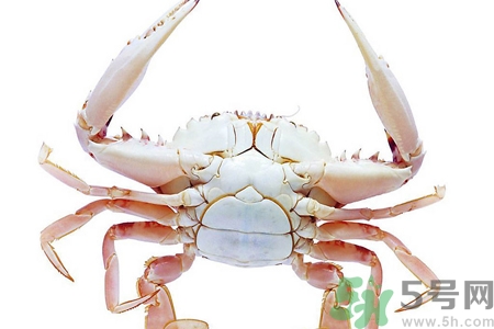 螃蟹死了還能吃嗎？螃蟹怎么清洗？
