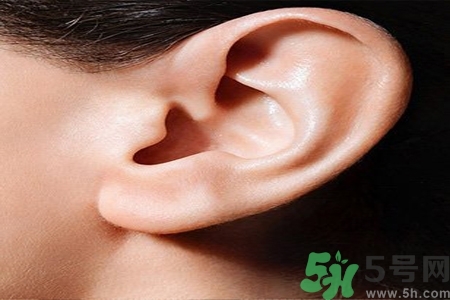 耳朵嗡嗡響怎么回事？耳朵嗡嗡響怎么辦？