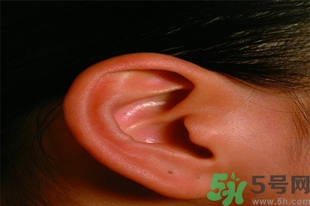 耳朵嗡嗡響怎么回事？耳朵嗡嗡響怎么辦？