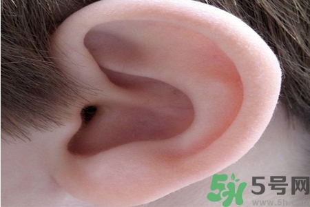 耳朵癢是怎么回事？耳朵癢怎么辦？