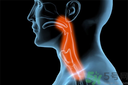 癲癇的發(fā)病因素？癲癇的并發(fā)癥有哪些？