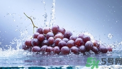 葡萄放冰箱里能保存多久?葡萄放冰箱怎么保存 葡萄放冰箱里能保存多久?葡萄放冰箱怎么保存